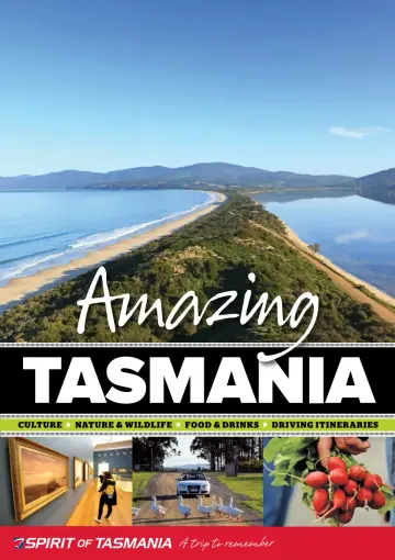 Amazing Tasmania - 3 DFómh 2017