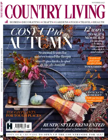 Country Living (UK) - 01 11月 2023