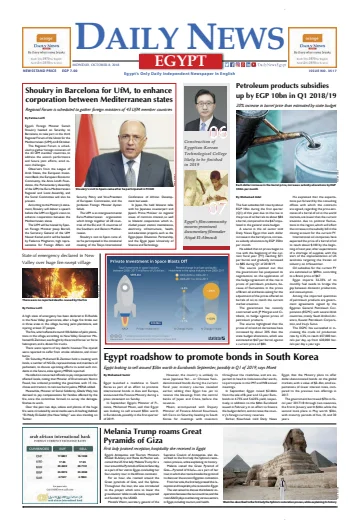 The Daily News Egypt - 8 Oct 2018