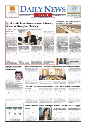The Daily News Egypt - 24 Dec 2019