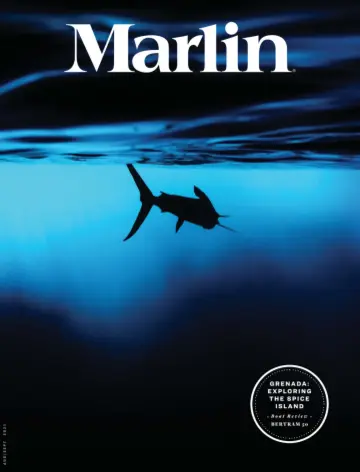 Marlin - 01 9月 2021