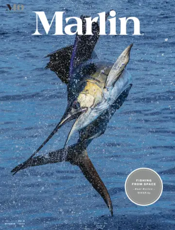 Marlin - 01 Eki 2022
