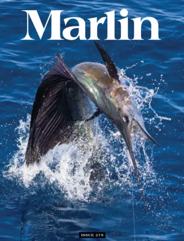 Marlin - 1 Feb 2024