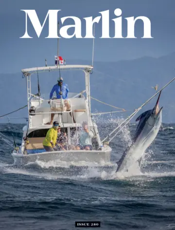 Marlin - 01 mars 2024