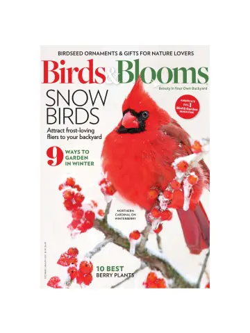 Birds & Blooms - 1 Jan 2020
