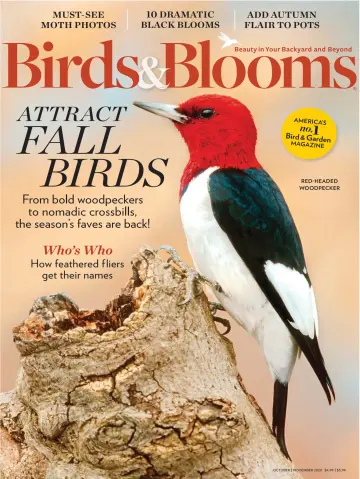 Birds & Blooms - 1 Oct 2020