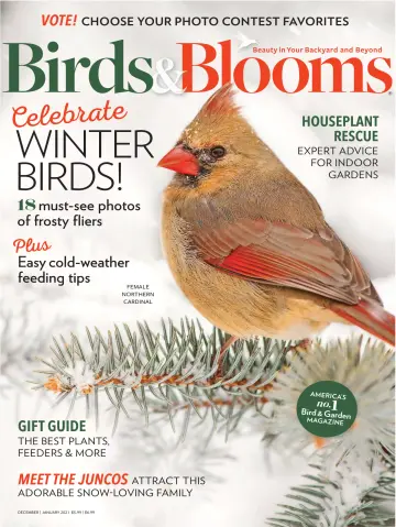 Birds & Blooms - 11 11月 2020