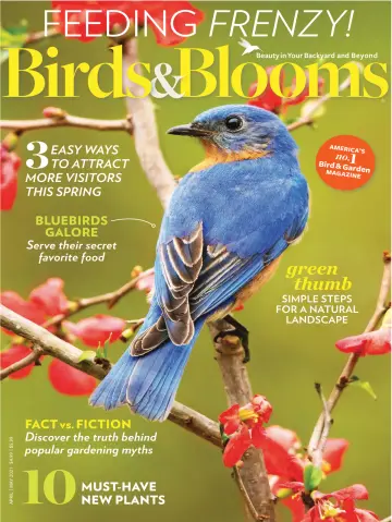 Birds & Blooms - 10 3月 2021