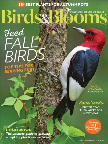Birds & Blooms - 15 Sep 2021