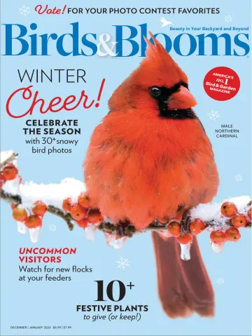 Birds & Blooms - 15 11月 2023