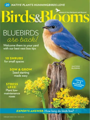 Birds & Blooms - 24 jan. 2024