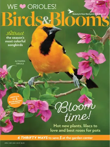 Birds & Blooms - 20 3月 2024