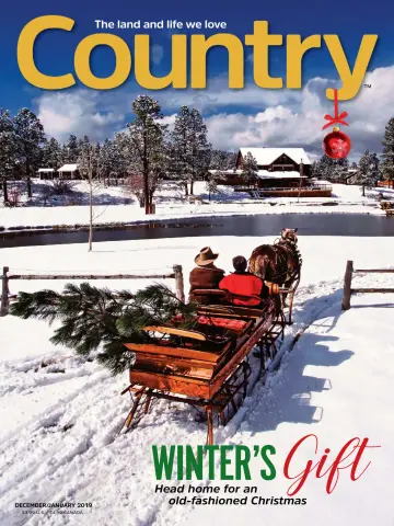Country - 1 Jan 2019