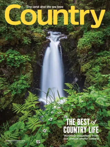 Country - 1 Mar 2019