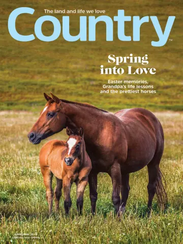 Country - 01 5월 2019