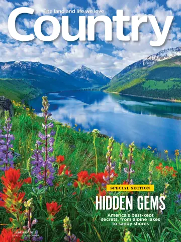 Country - 01 七月 2019