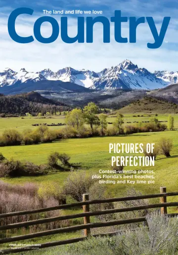 Country - 1 Jan 2020