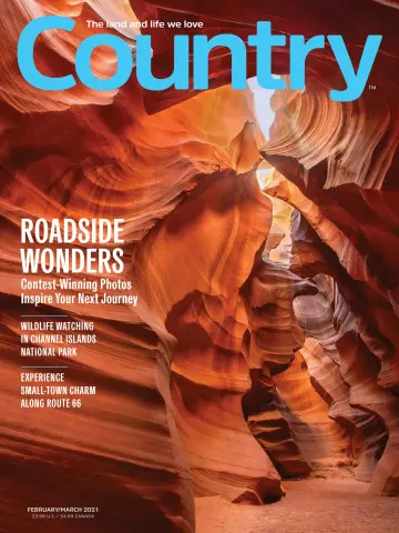 Country - 20 jan. 2021