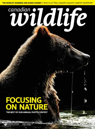 Canadian Wildlife - 2 Jan 2020