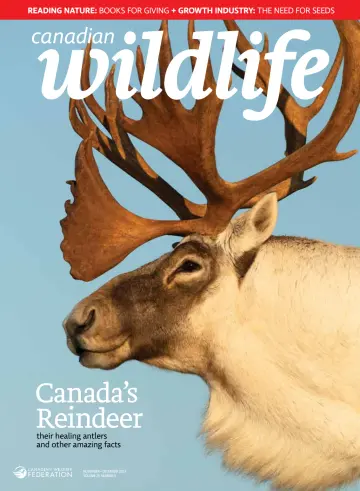 Canadian Wildlife - 01 Nov 2023