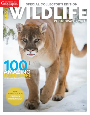 Canadian Geographic Best Wildlife Photography - 4 Aw 2020
