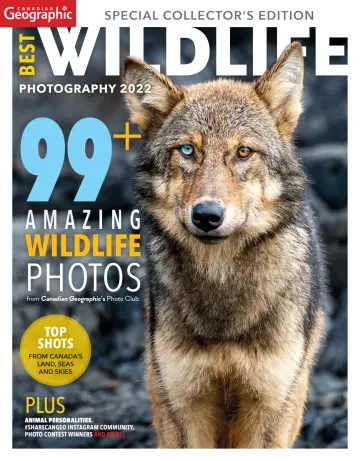 Canadian Geographic Best Wildlife Photography - 25 Gorff 2022