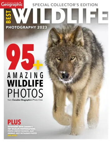 Canadian Geographic Best Wildlife Photography - 25 11月 2023