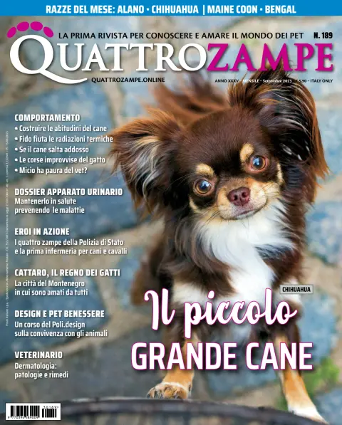 Quattro Zampe
