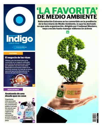 Reporte Índigo Monterrey - 11 四月 2024