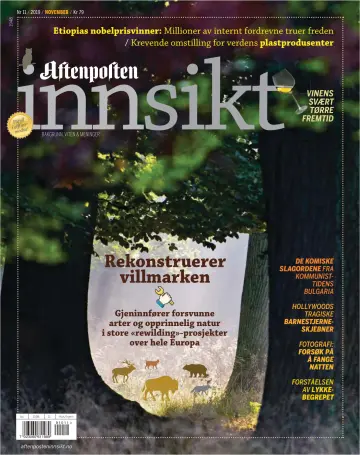 Aftenposten Innsikt - 29 DFómh 2019