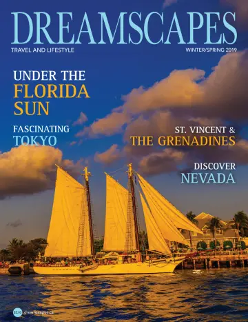 Dreamscapes Travel & Lifestyle Magazine - 08 Feb. 2019