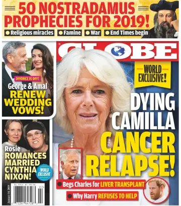 Globe - 11 Jan 2019