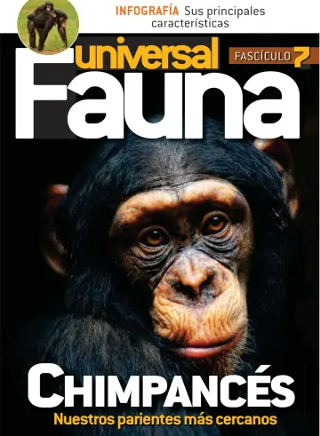 Fauna universal - 16 Dec 2019