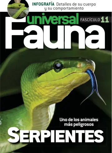 Fauna universal - 09 5月 2020