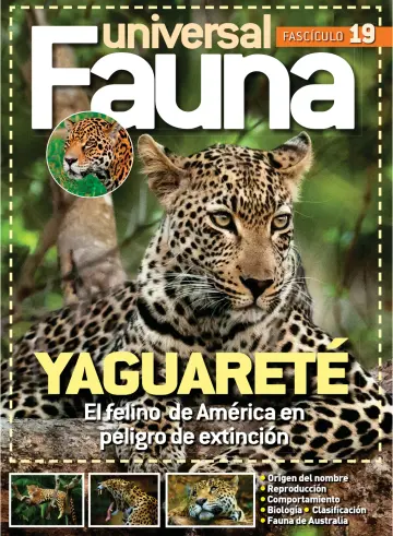 Fauna universal - 28 11월 2022
