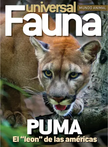 Fauna universal - 23 5月 2023