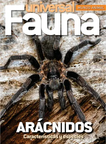 Fauna universal - 28 Aug 2023