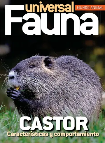 Fauna universal - 01 11월 2023