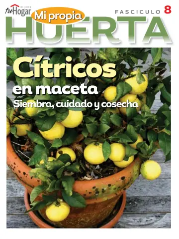 Huerta en casa - 5 Mar 2020