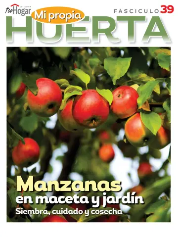 Huerta en casa - 21 Okt. 2022