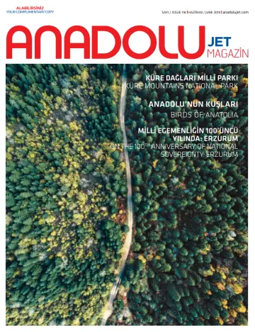 Anadolu Jet Magazin - 01 juin 2019