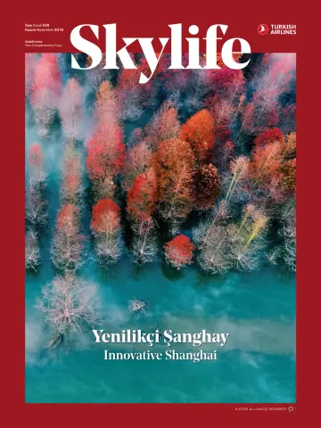 Skylife - 1 Nov 2019