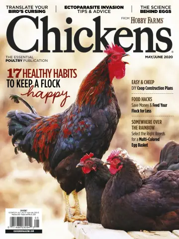 Chickens - 1 Jun 2020