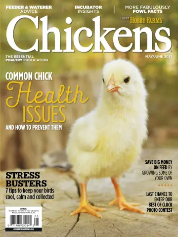 Chickens - 1 May 2021