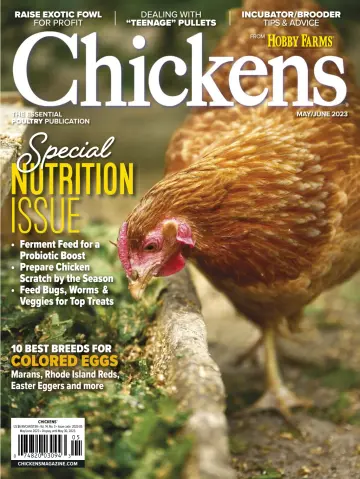 Chickens - 1 May 2023