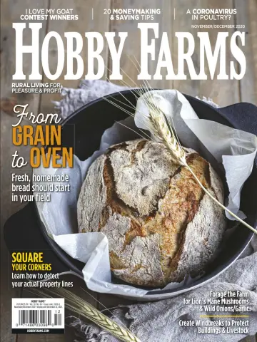 Hobby Farms - 1 Nov 2020