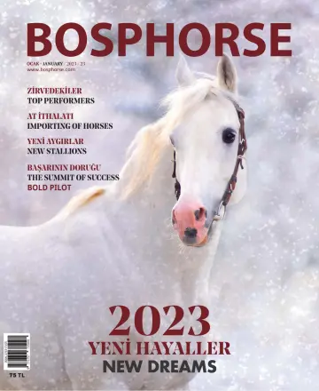 Bosphorse - 1 Ean 2023
