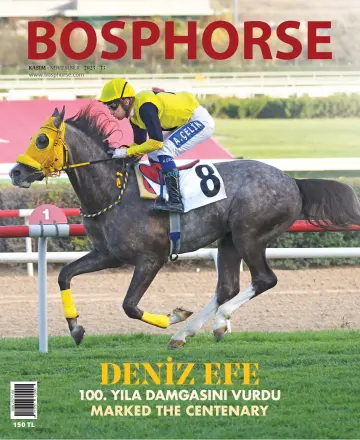 Bosphorse - 1 Nov 2023