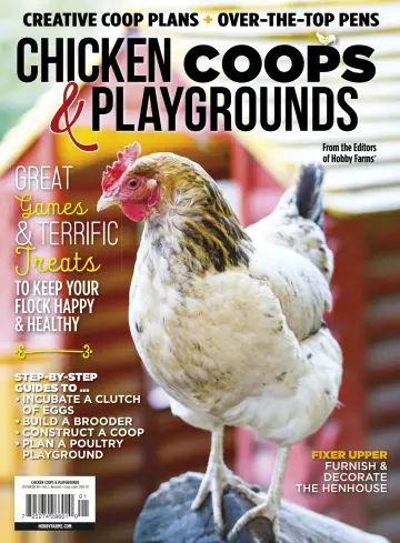 Chicken Coops and Playgrounds - 26 一月 2021