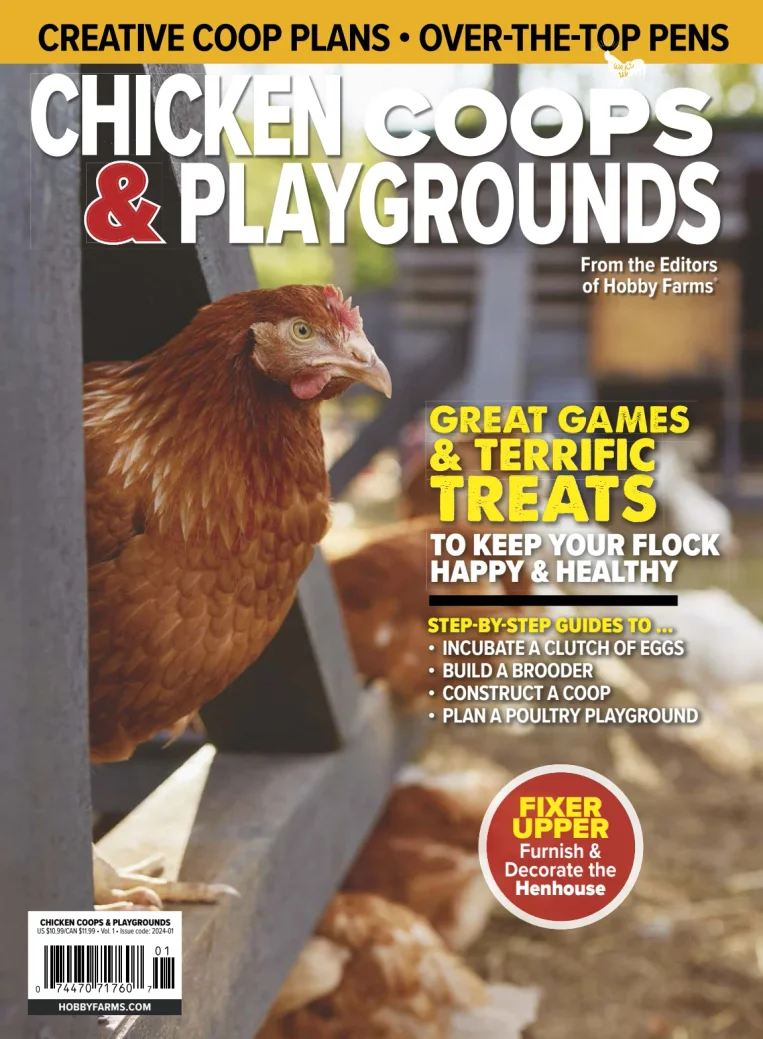 Chicken Coops and Playgrounds